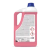 Detersivo pavimenti floor acid 5 l